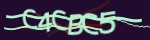 show_captcha