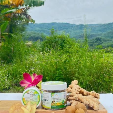 Mứt gừng viên chanh muối 270g